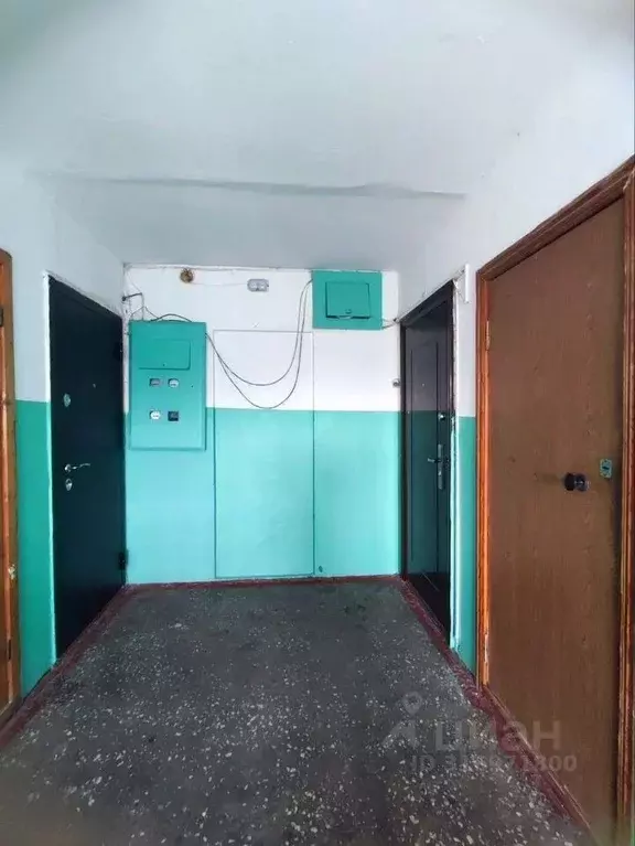 1-к кв. Омская область, Омск Береговой мкр, Иртышская ул., 15 (31.0 м) - Фото 2