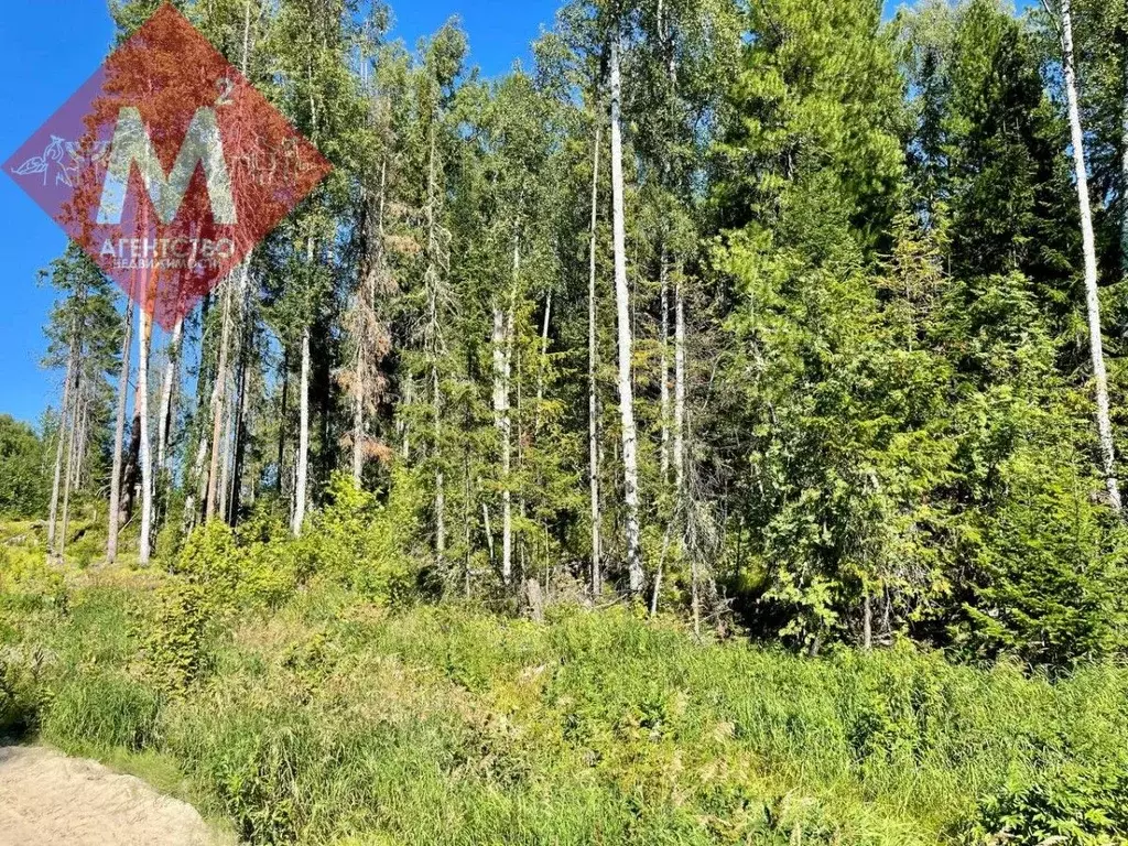 Участок в Ханты-Мансийский АО, Нягань Заречный садовый массив, проезд ... - Фото 0