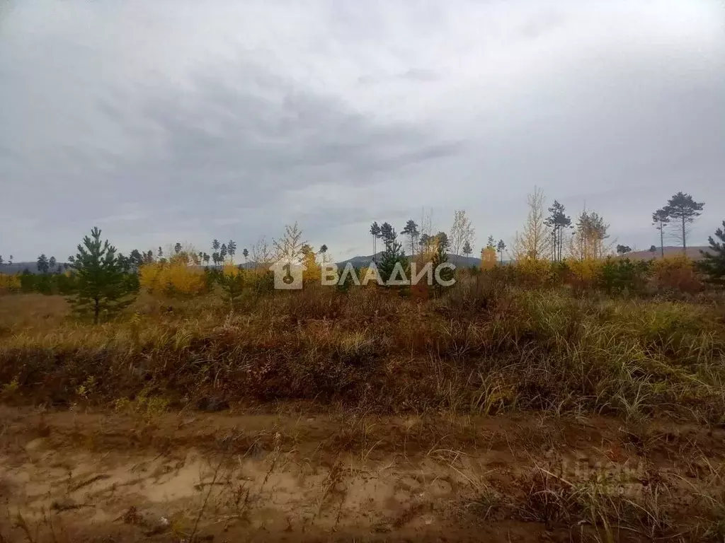 Участок в Забайкальский край, Читинский район, пос. Забайкальский  ... - Фото 2