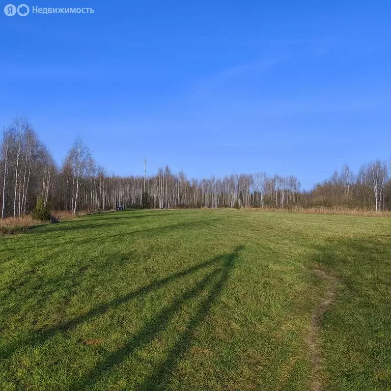 Участок в деревня Старая Руза, Берёзовая улица (20 м) - Фото 2