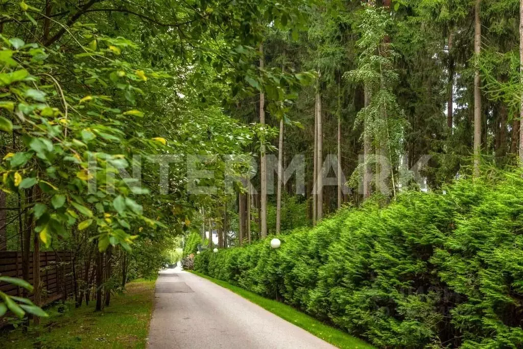 Участок в Московская область, Одинцовский городской округ, д. Бородки ... - Фото 2