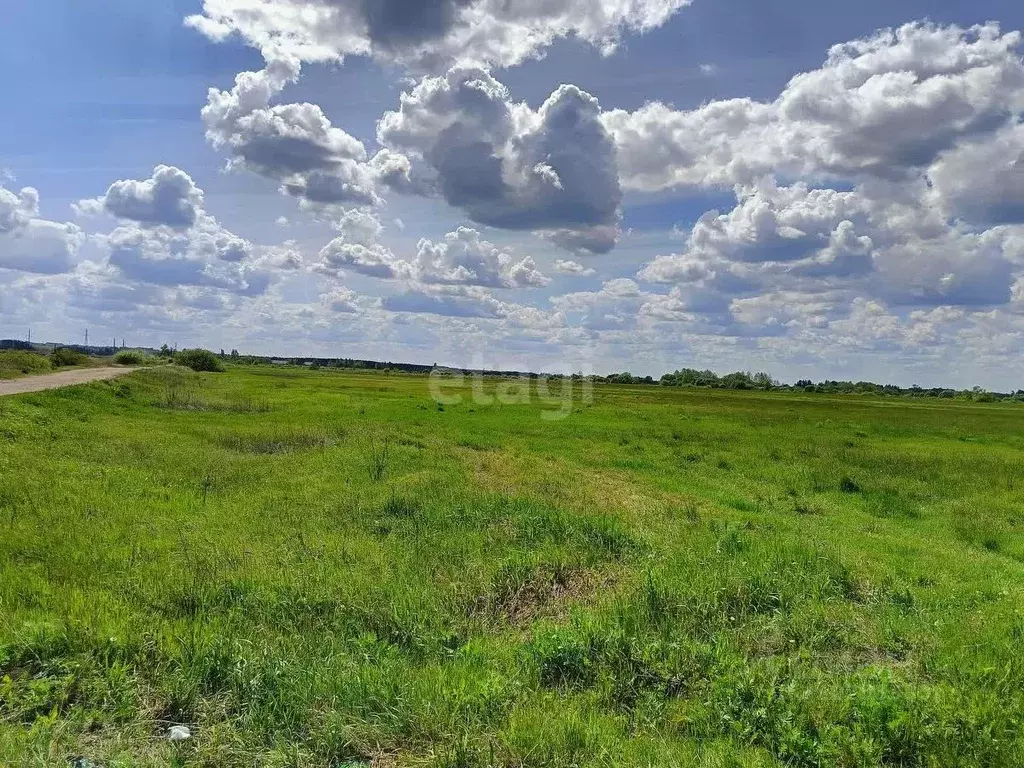 Участок в Тамбовская область, Тамбов городской округ, с. Бокино  ... - Фото 0