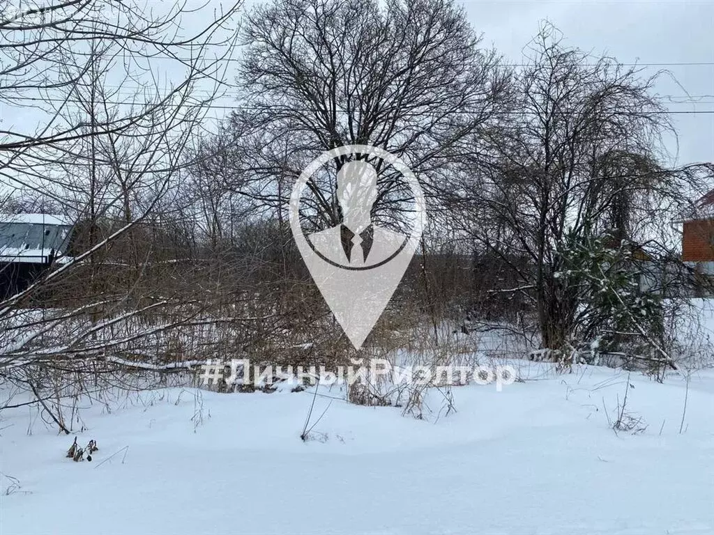 Участок в Рязанская область, Скопинский муниципальный округ, село ... - Фото 1