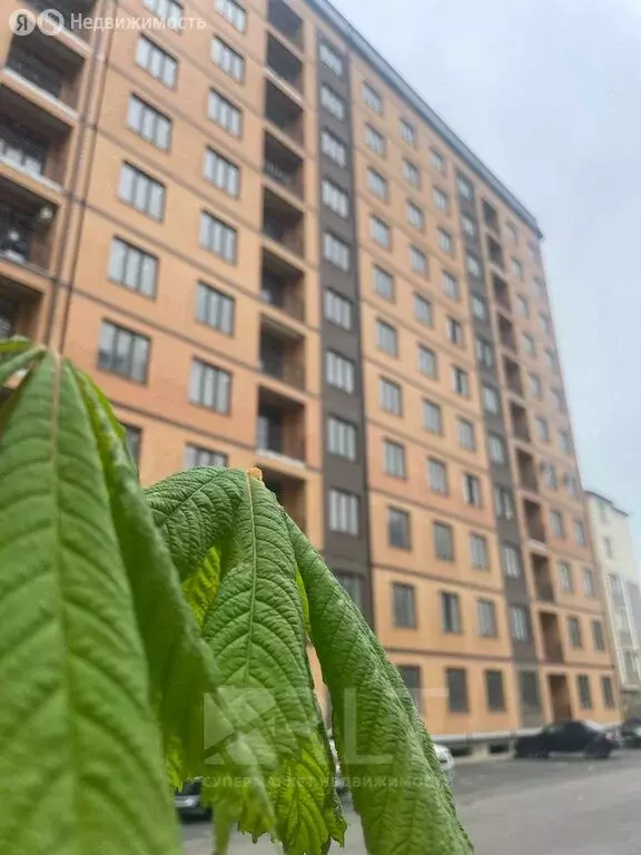 2-комнатная квартира: Махачкала, улица Лизы Чайкиной, 65 (80 м) - Фото 2