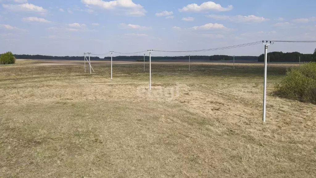 Участок в Тюменская область, Тюменский муниципальный округ, с. ... - Фото 1