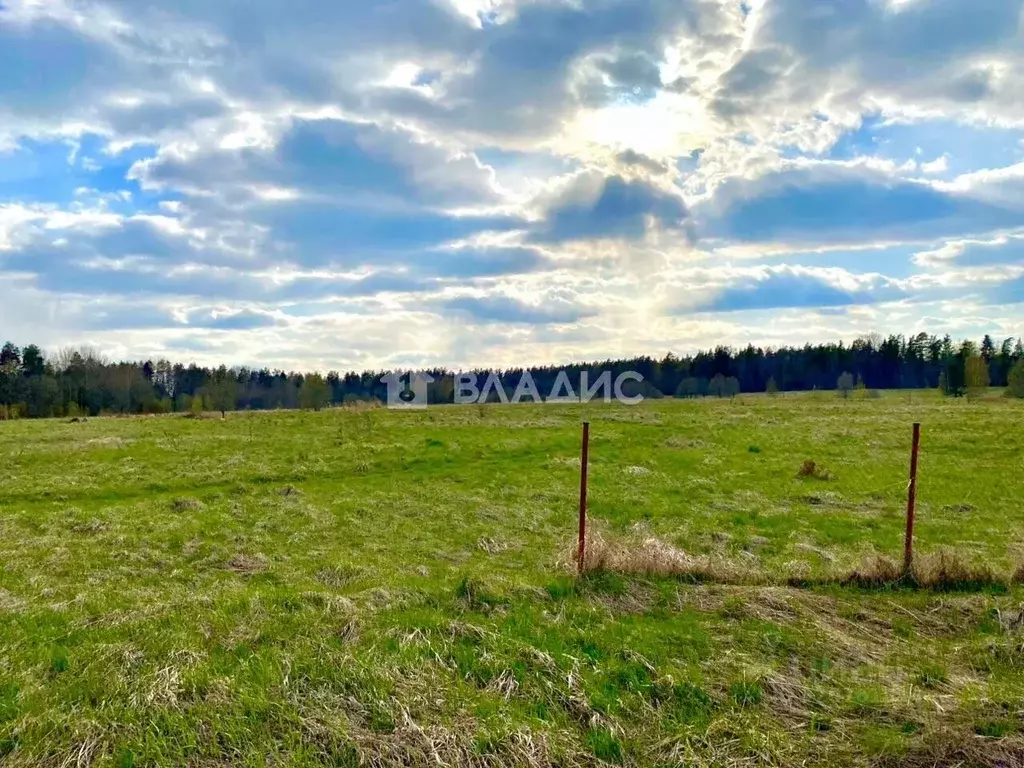 Участок в Ленинградская область, Выборгский район, Красносельское ... - Фото 0