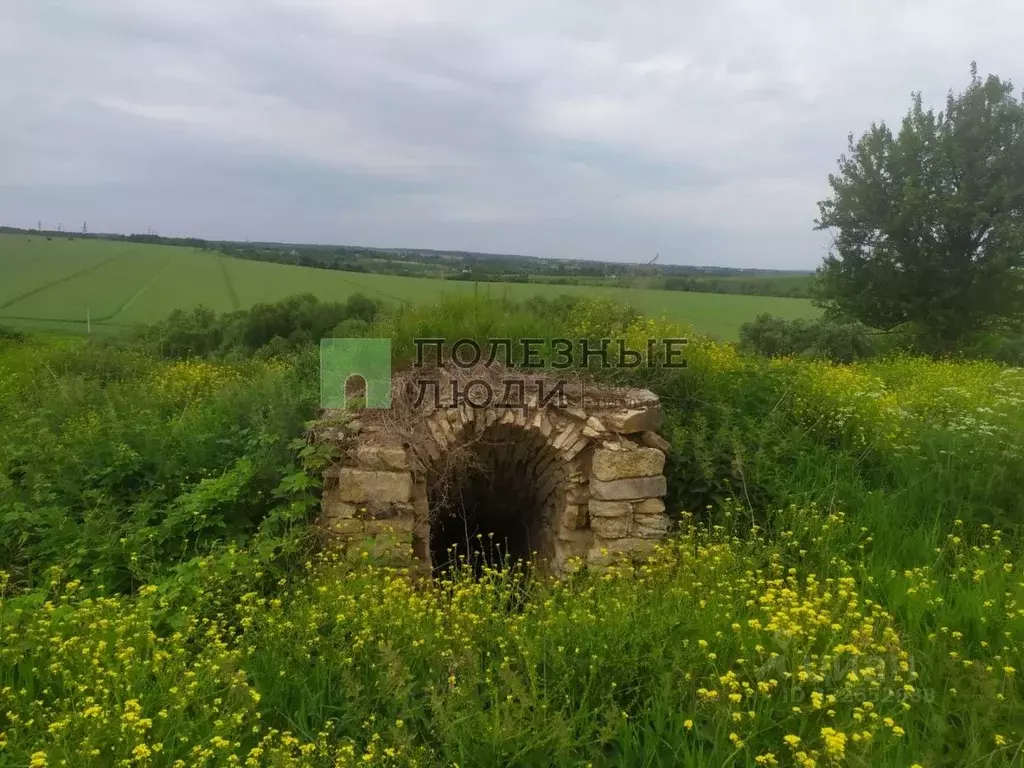 Участок в Орловская область, Орловский район, д. Черемисино ул. ... - Фото 0