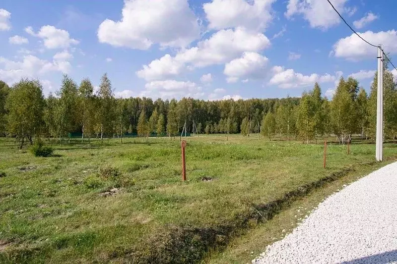Участок в Тульская область, Заокский район, Демидовское муниципальное ... - Фото 2