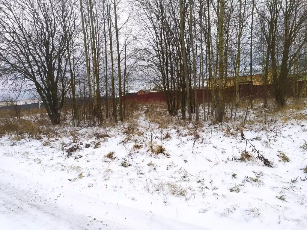 Участок в Московская область, Павлово-Посадский городской округ, д. ... - Фото 1