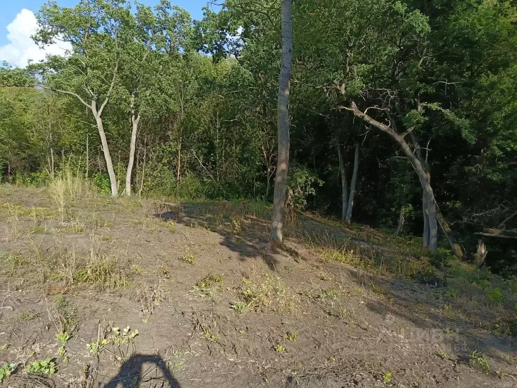 Участок в Саратовская область, д. Долгий Буерак, Новь СНТ  (6.7 сот.) - Фото 2