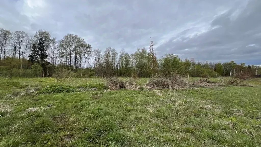 Участок в Московская область, Истра муниципальный округ, д. Головино  ... - Фото 1