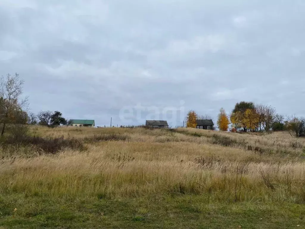 Участок в Брянская область, Жуковский муниципальный округ, с. Овстуг ... - Фото 1