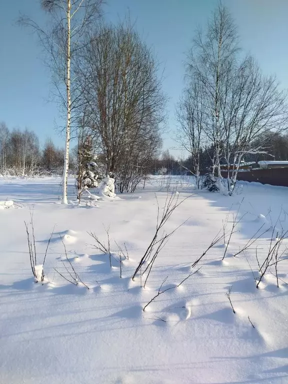 Участок в Московская область, Клин городской округ, д. Малеевка  (15.6 ... - Фото 2