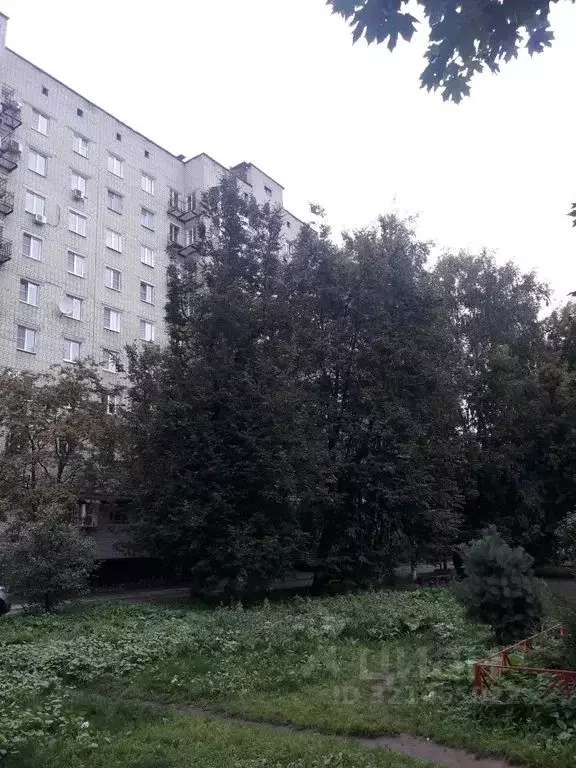 1-к кв. Ярославская область, Рыбинск ул. Герцена, 39 (28.0 м) - Фото 2