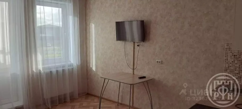 Студия Ленинградская область, Ломоносовский район, Виллозское ... - Фото 2