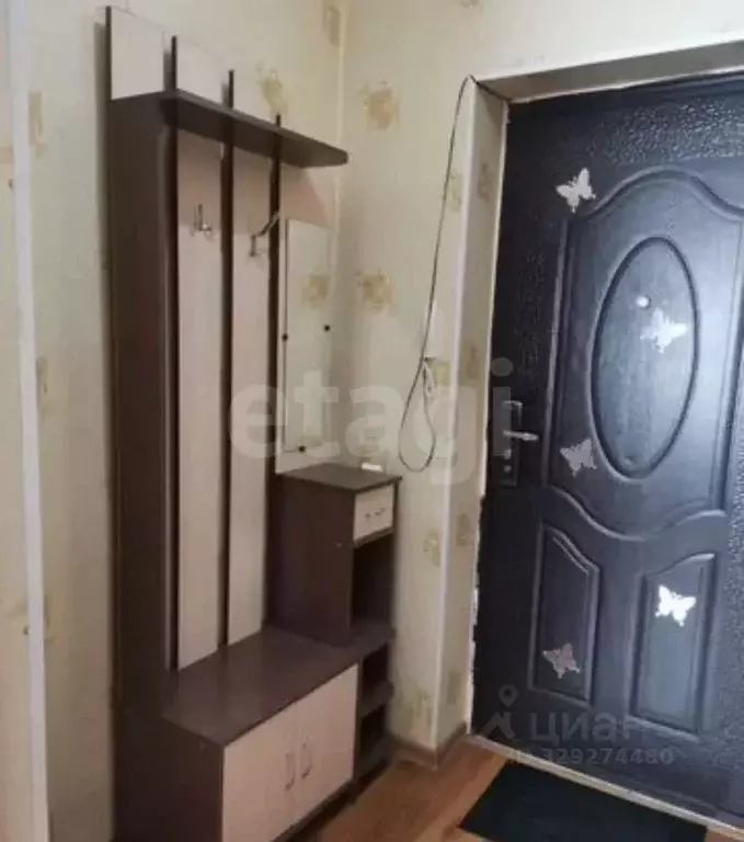 Студия Алтай, Горно-Алтайск ул. Строителей (22.7 м) - Фото 2