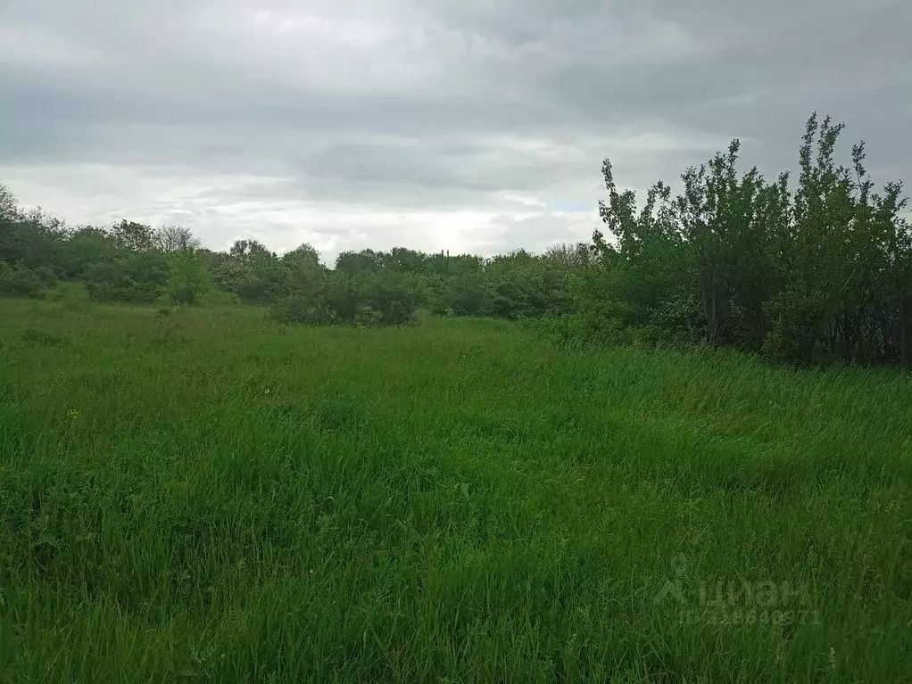 Участок в Ставропольский край, Изобильненский муниципальный округ, с. ... - Фото 1