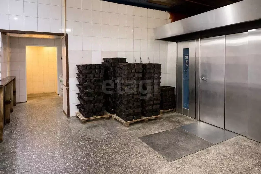 Помещение свободного назначения в Алтай, Майминский район, с. Майма ... - Фото 1