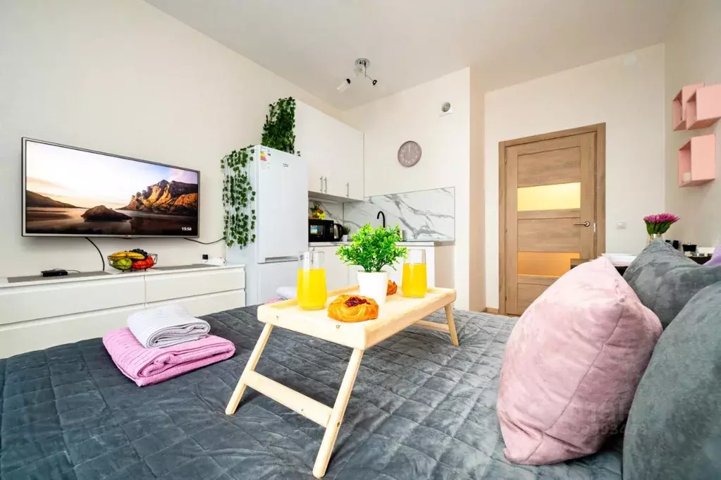 1-к кв. Санкт-Петербург Ленинский просп., 45к1 (26.0 м) - Фото 2