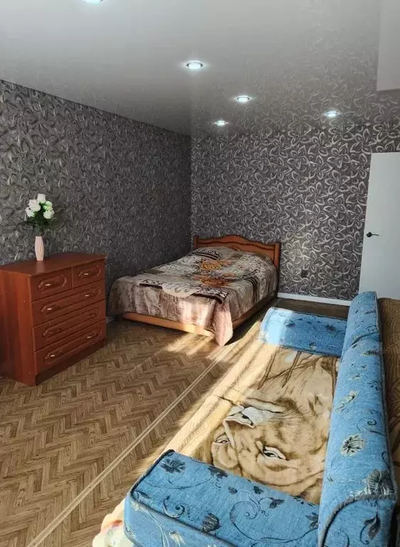 2-к кв. Саратовская область, Петровск ул. Братьев Костериных, 133 ... - Фото 2