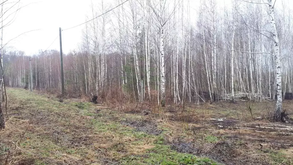 Участок в Тульская область, Ясногорский район, д. Хорошевка  (25.0 ... - Фото 0