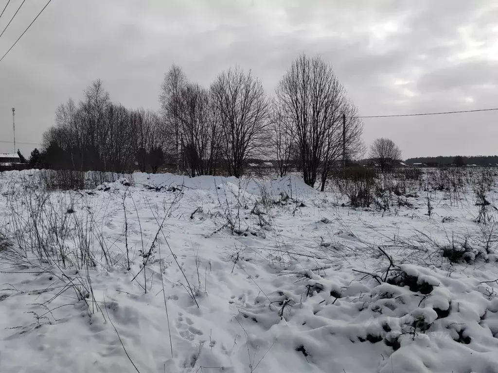 Участок в Московская область, Клин городской округ, д. Малая Борщевка  ... - Фото 1