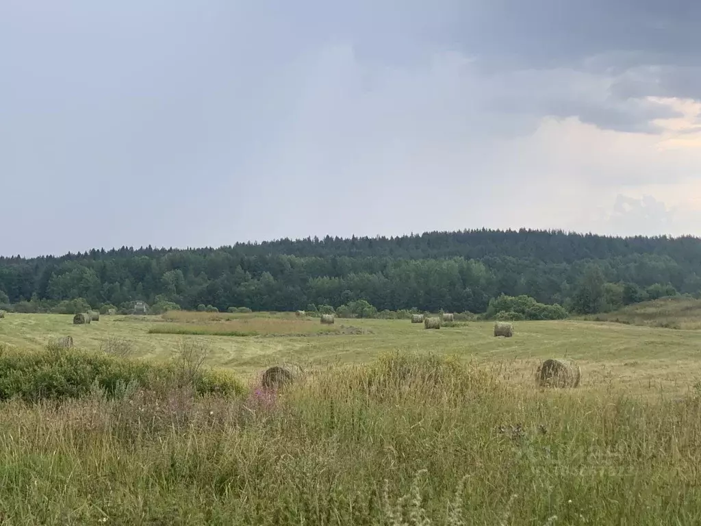 Участок в Карелия, Сортавальский муниципальный округ, пос. Оявойс  ... - Фото 0