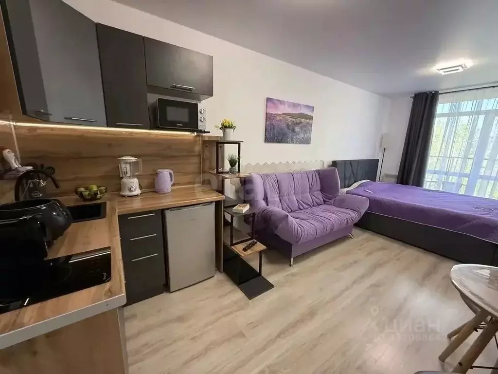 Студия Крым, Сакский район, с. Фрунзе ул. Мира (27.0 м) - Фото 1