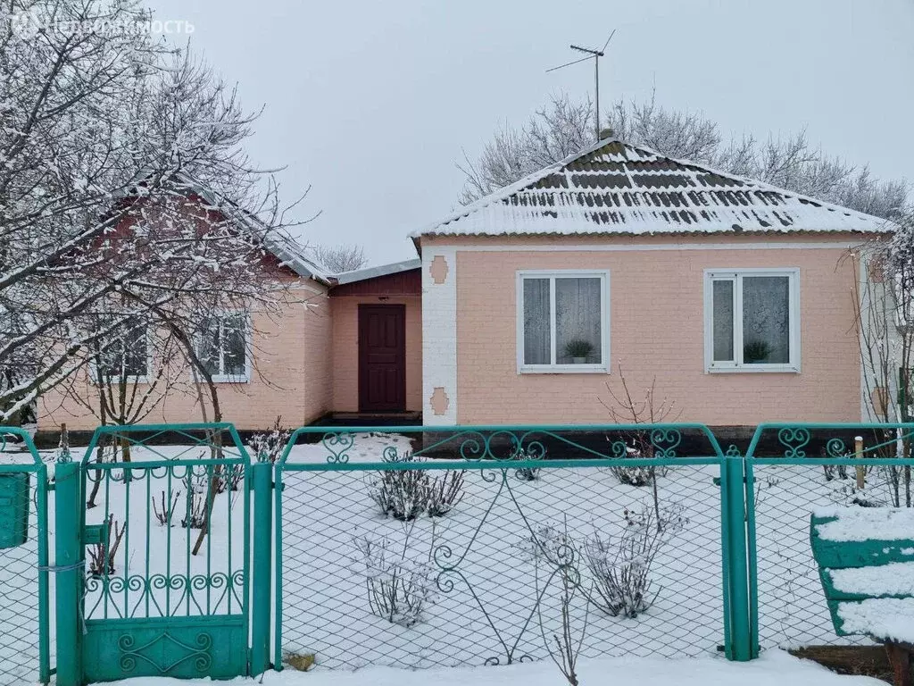 Купить Дом В Целине Ростовской Области