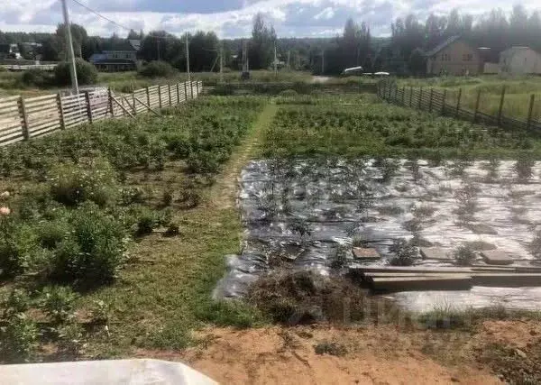 Участок в Московская область, Солнечногорск городской округ, д. ... - Фото 1