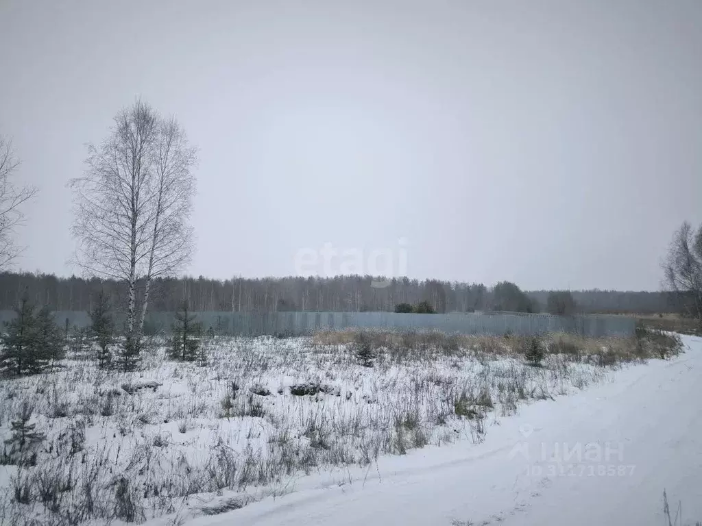 Участок в Владимирская область, Муром д. Михайлово, ул. Центральная ... - Фото 1