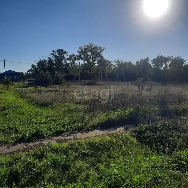 Участок в Краснодарский край, Анапа муниципальный округ, пос. ... - Фото 2