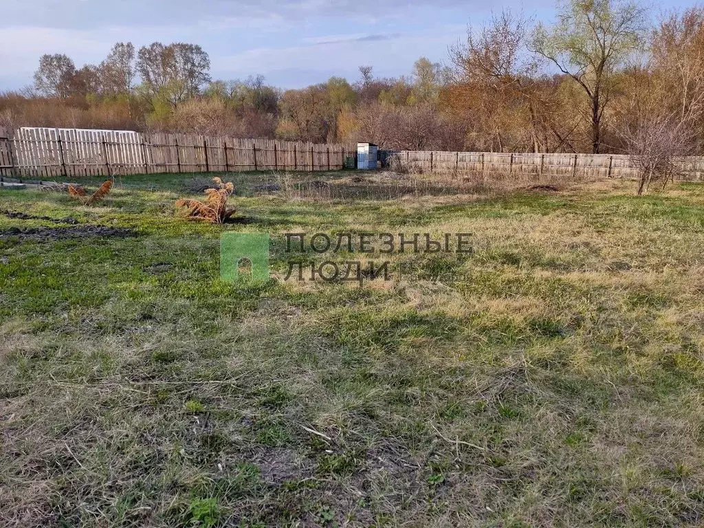 Участок в Самарская область, Сызранский район, с. Заборовка ... - Фото 2
