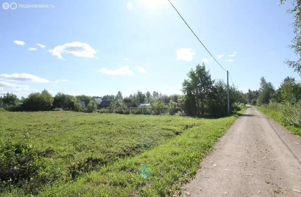 Участок в Вологодская область, Шекснинский муниципальный округ, ... - Фото 1