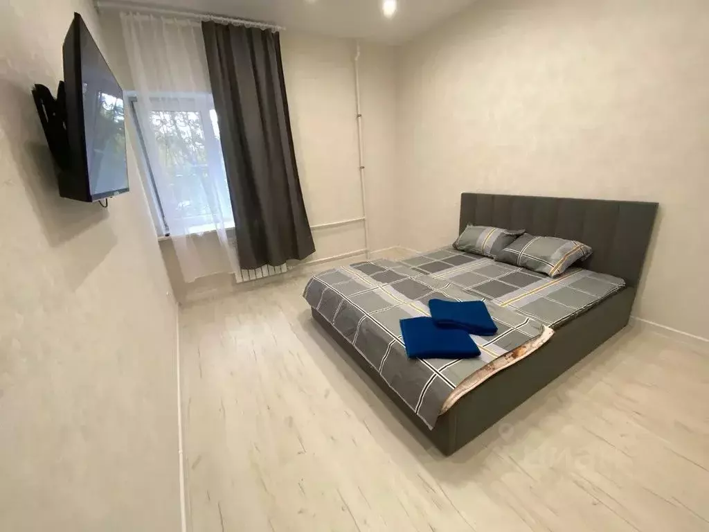 1-к кв. Нижегородская область, Нижний Новгород ул. Куйбышева, 65 (45.0 ... - Фото 2