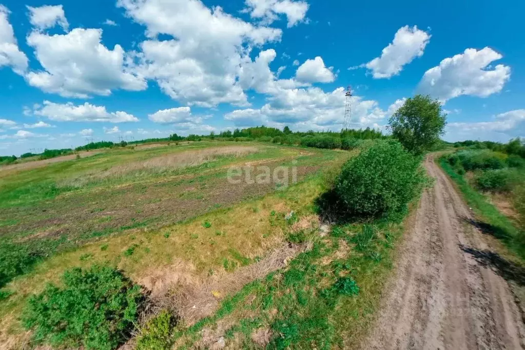 Участок в Тюменская область, Тюменский муниципальный округ, с. Борки  ... - Фото 1