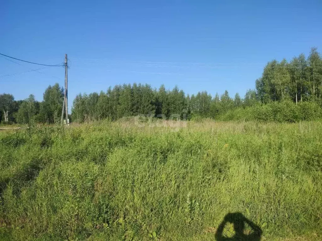 Участок в Ярославская область, Некрасовское рп ул. Волжская, 15А (14.0 ... - Фото 1