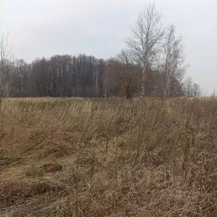Участок в Московская область, Луховицы муниципальный округ, д. ... - Фото 1