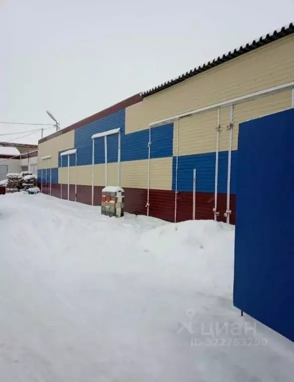 Производственное помещение в Татарстан, Елабуга ул. Строителей, 13А ... - Фото 2