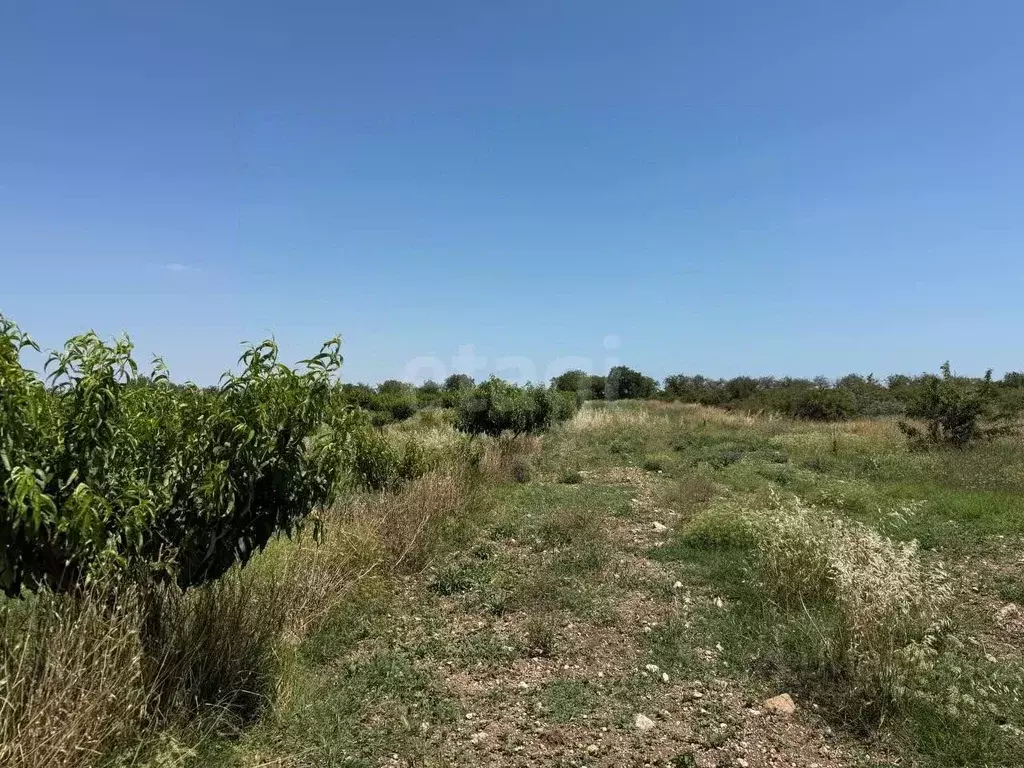 Участок в Крым, Кировский район, Первомайское с/пос, с. Изюмовка ул. ... - Фото 1