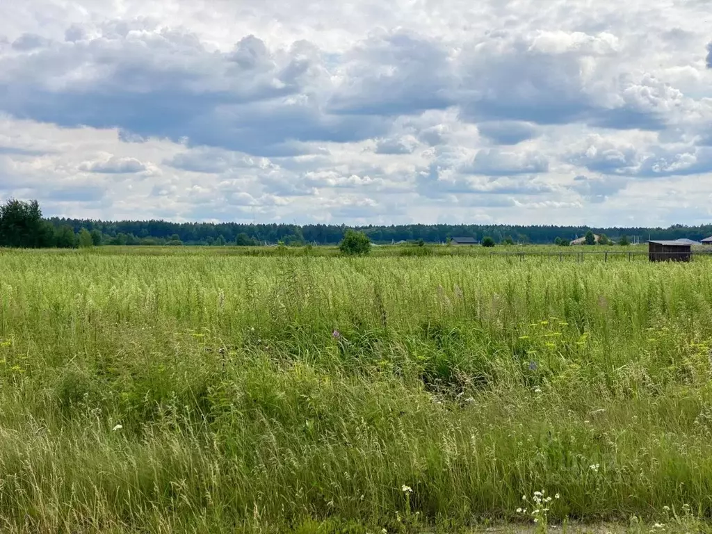 Участок в Тюменская область, Тюменский муниципальный округ, ... - Фото 2