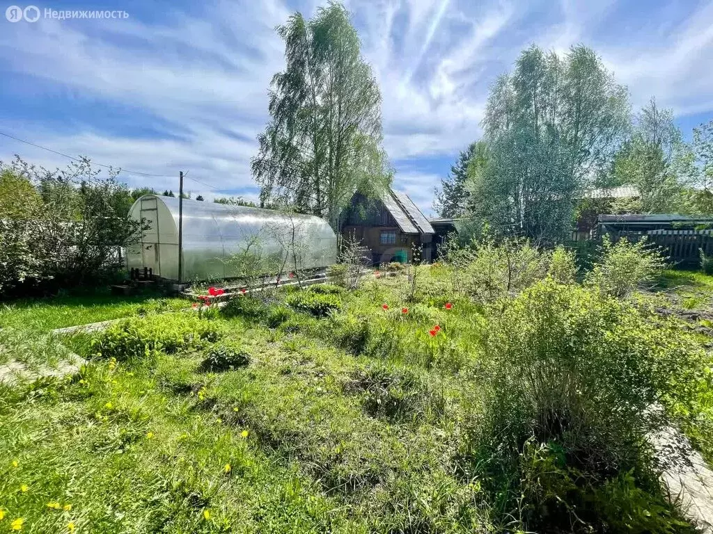 Дом в Сыктывкар, территория Дырносский, СНТ Зодчий (36 м) - Фото 1