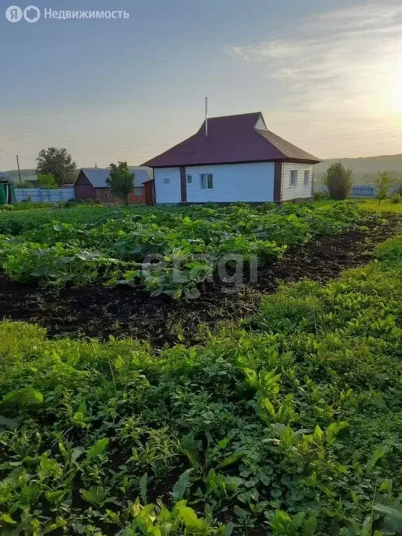 Дом в Алтайский край, Бийск (81 м) - Фото 1