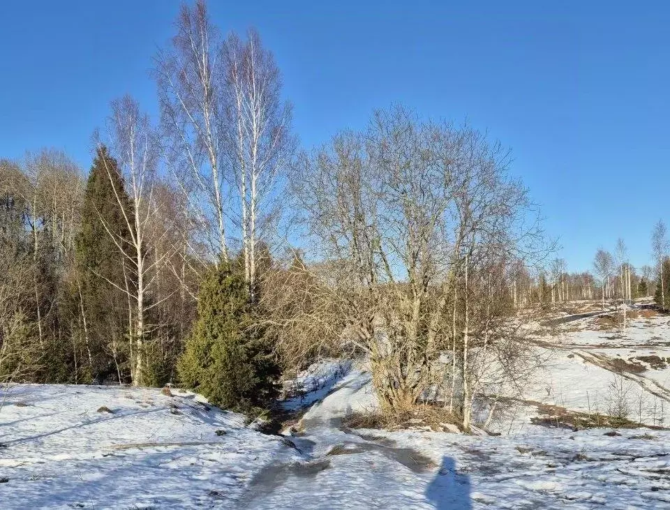 Участок в Московская область, Клин городской округ, д. Покровка  (9.5 ... - Фото 0