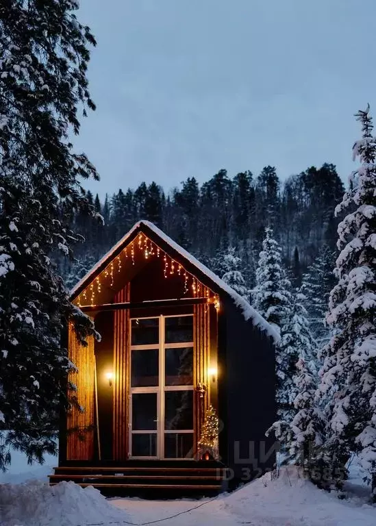 Дом в Алтай, Турочакский район, с. Артыбаш ул. Юртокская, 24 (50 м) - Фото 1