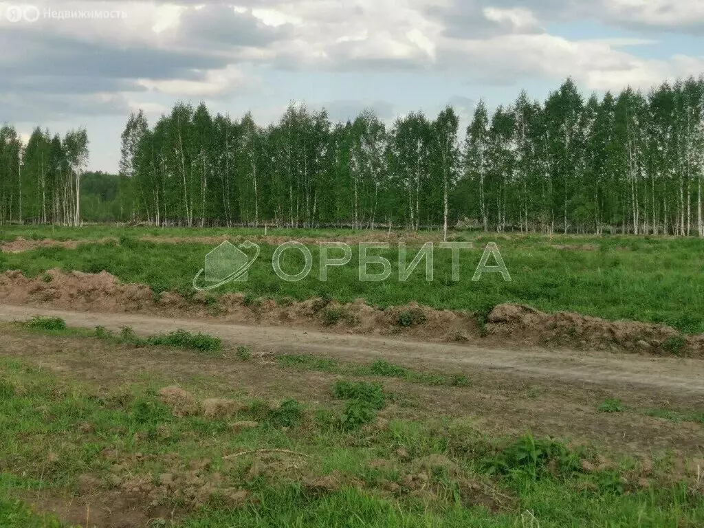 Участок в Тюменский район, деревня Чаплык (12 м) - Фото 1