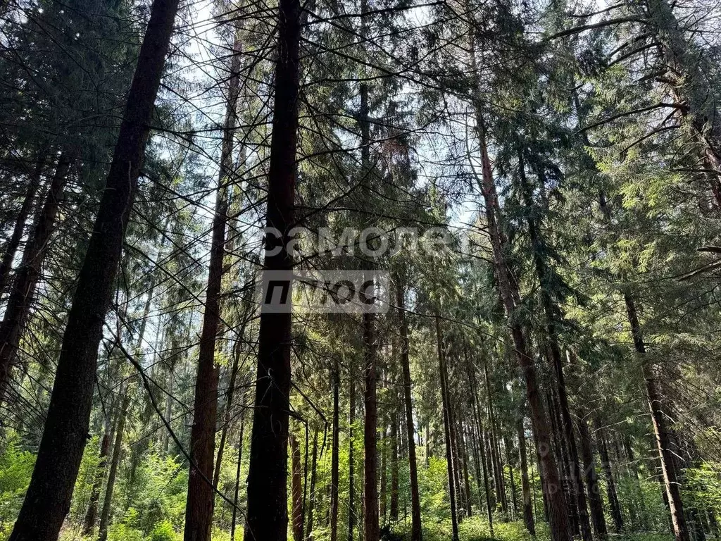 Участок в Московская область, Истра городской округ, Лира-С садовое ... - Фото 1