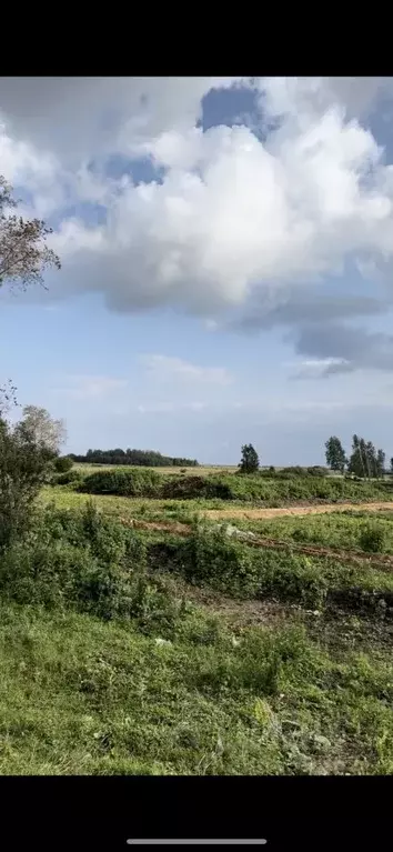 участок в челябинская область, аргаяшский район, кузнецкое с/пос, с. . - Фото 0