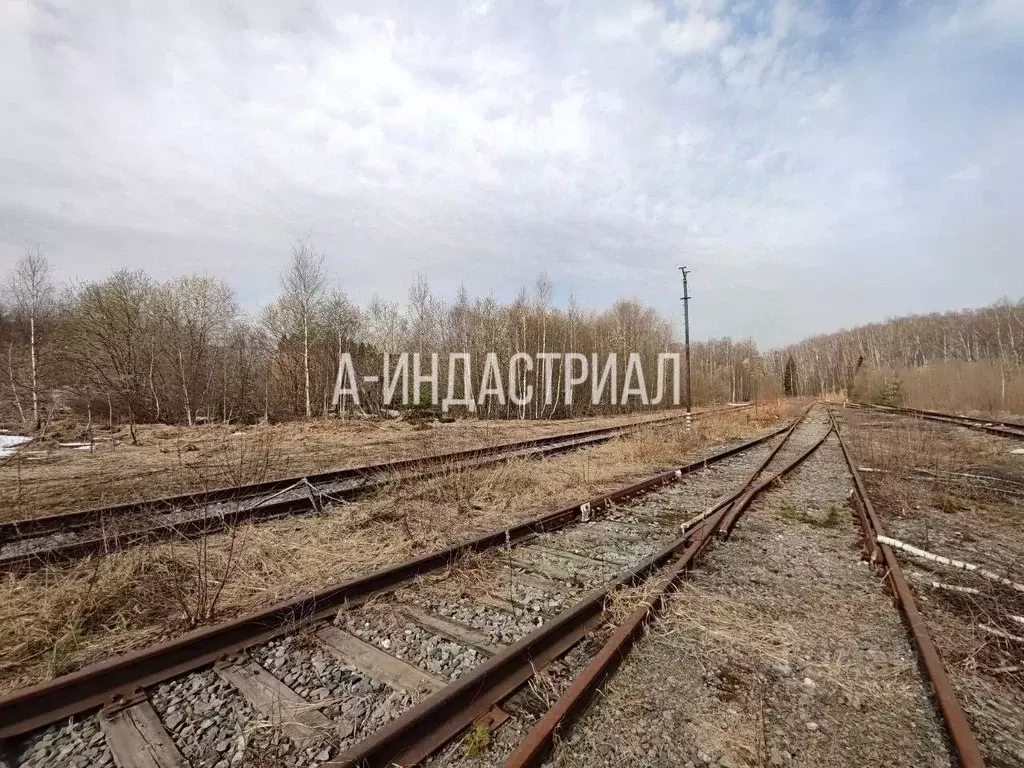 Участок в Москва № 144 кв-л, 1с1 (350.0 сот.) - Фото 1