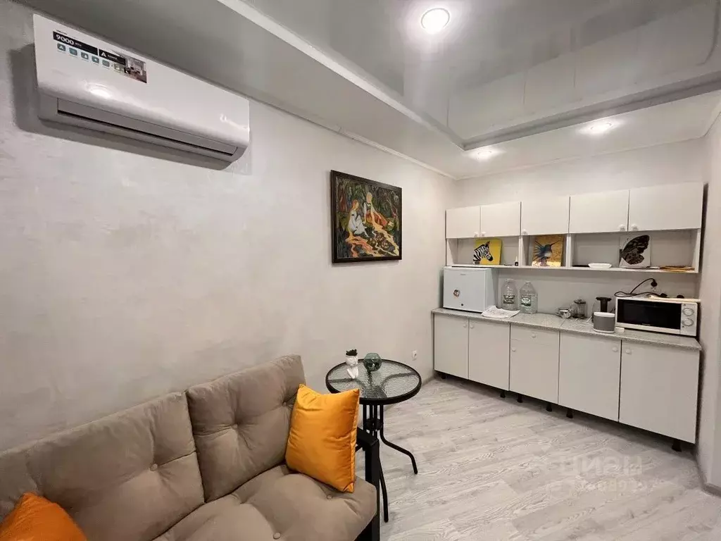 Студия Пензенская область, Заречный Ахунская ул., 25 (30.0 м) - Фото 2